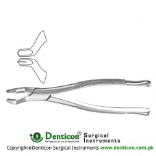 American Pattern Tooth Extracting Forcep Fig. 53R (For Upper Right Molars) Stainless Steel, Standard
